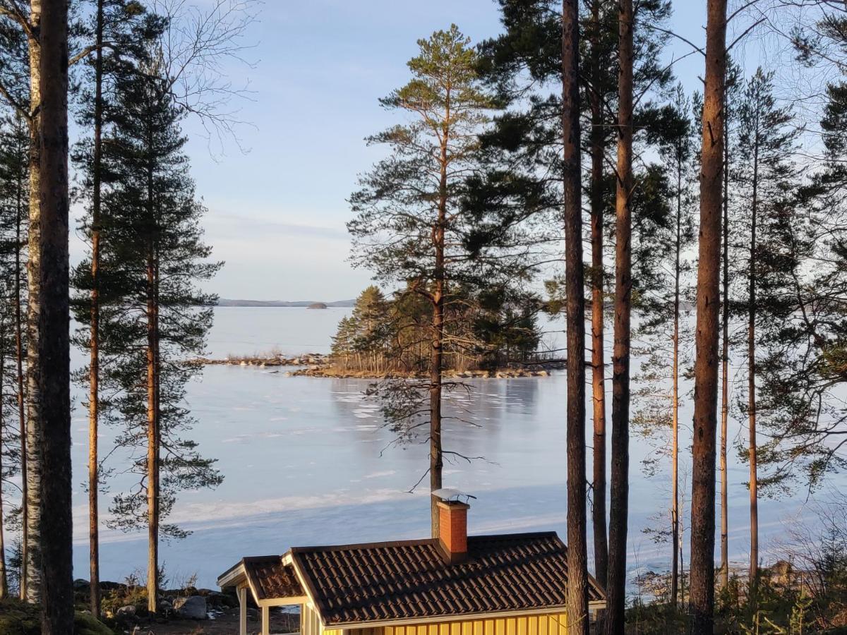 Lake Cottage Jaenisvaara Kolinkylä 外观 照片